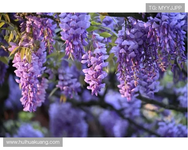 四月倾城，人间芬芳——重温《人间四月天》的诗意与深情